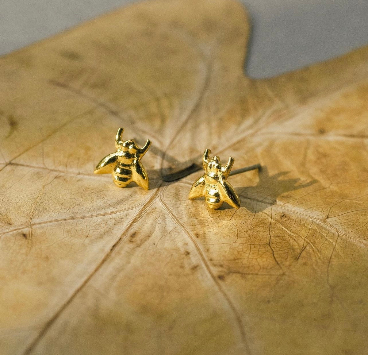 Gold biba studs · Pájaro Limón · joyería de autor latinoamericano